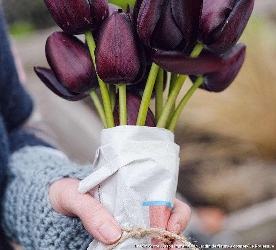 bouquet de tulipes
